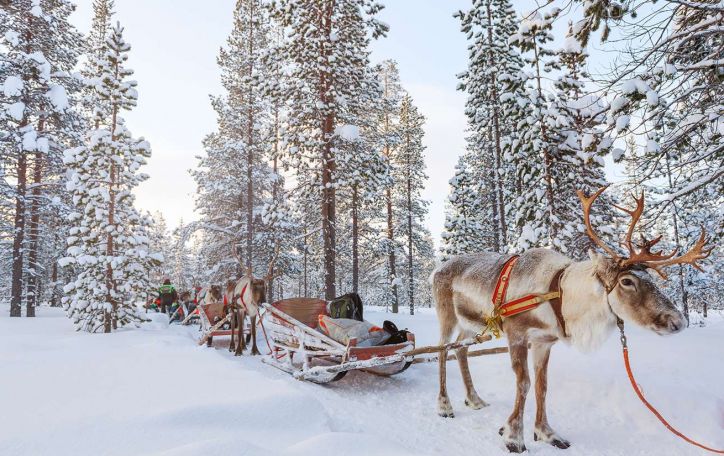 Laplandija - širdis tirpdanti, magija ir stebuklais kvepianti žiemos pasaka