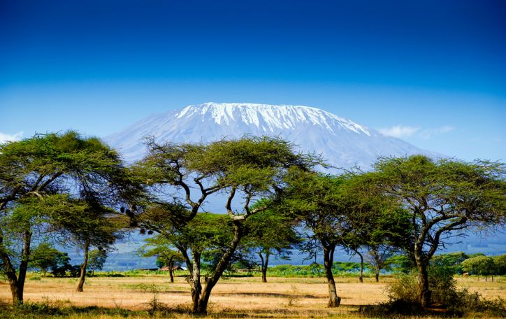 Kenija (14n.) - gaivališkas gamtos grožis ir karščiu alsuojantys laukiniai ritmai