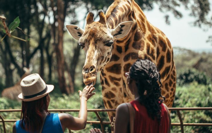 Nepamirštama pažintinė kelionė į didžiausią Kenijos Rytų Cavo nacionalini parką 