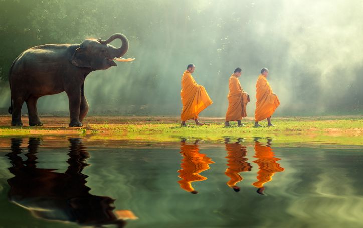 Tailandas (13n.) - praeities alsavimas, džiunglių magija, šypsenų burtai ir šventyklų didybė