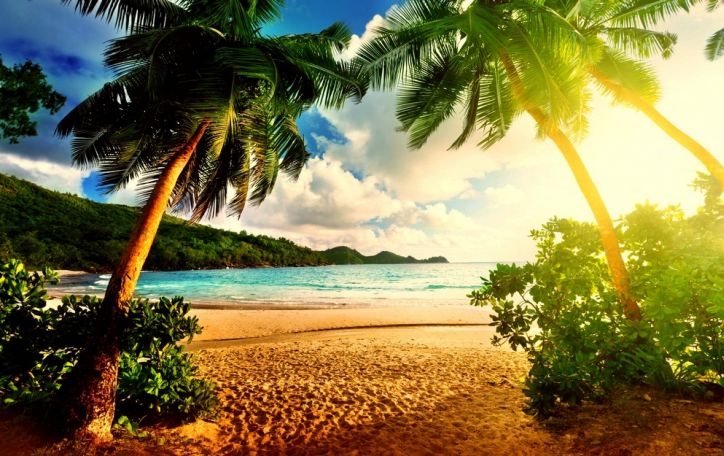 Indija - Goa (11n.) - pajuskite laisvės skonį ir panirkite į tropinių malonumų jūrą