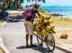 Mauricijus - Dievo pamestas žalsvas karoliukas, pūpsantis šiltame Indijos vandenyne 