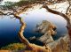 Salou (Ispanija) - žadą atimanti gamta, dangiškos pakrantės ir verdantis gyvenimas